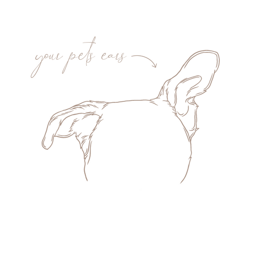 EAR OUTLINE ILLUSTRATION - DIGITAL FILE ONLY