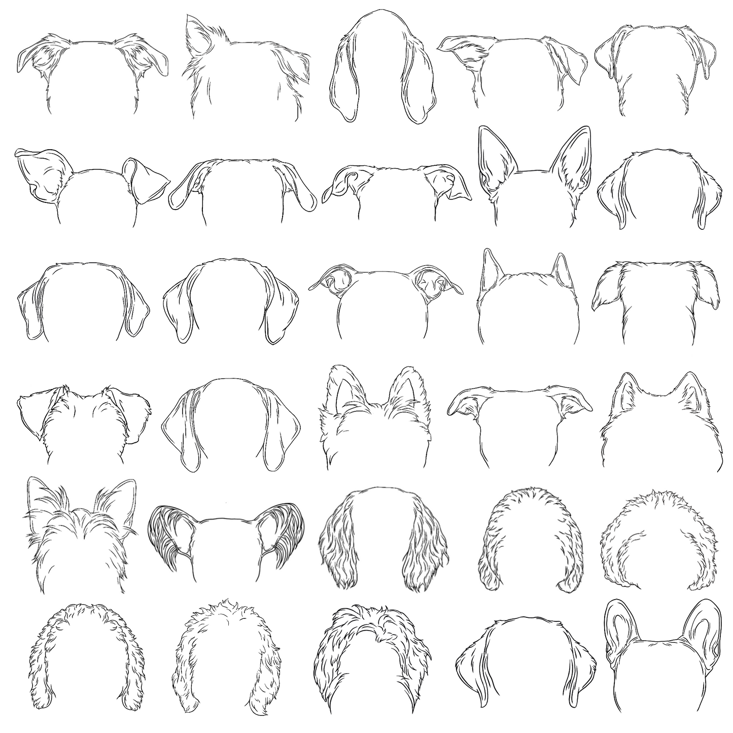 EAR OUTLINE ILLUSTRATION - DIGITAL FILE ONLY